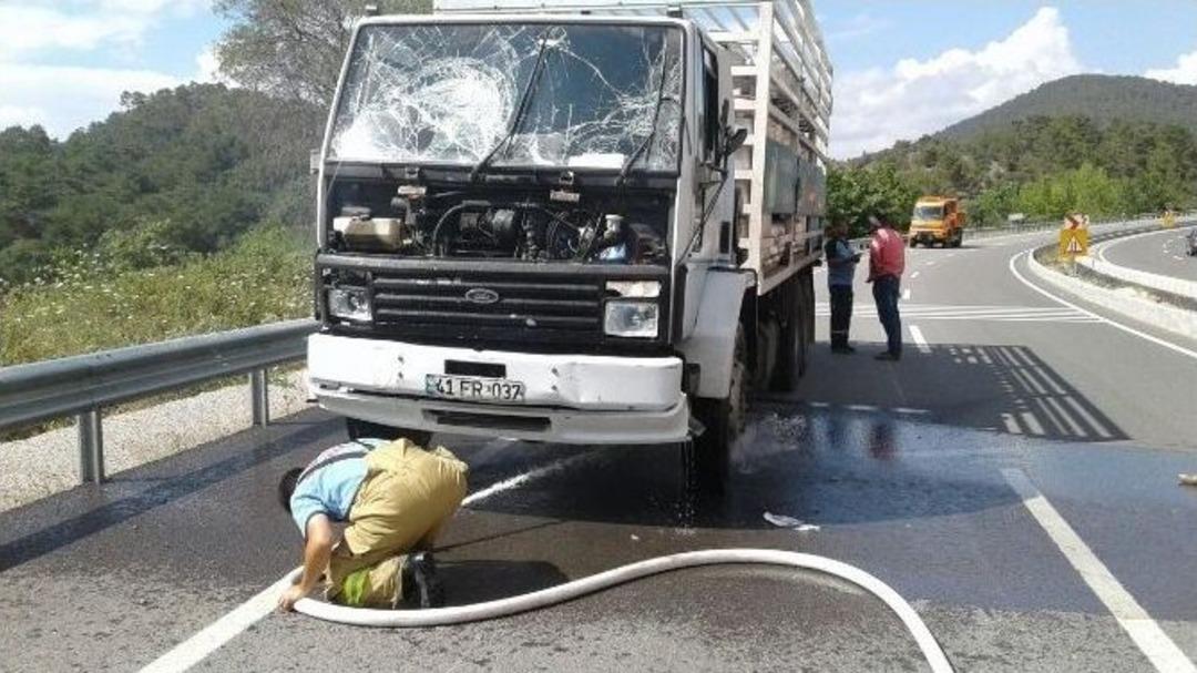 Facianın Eşiğinden D&ouml;n&uuml;ld&uuml;