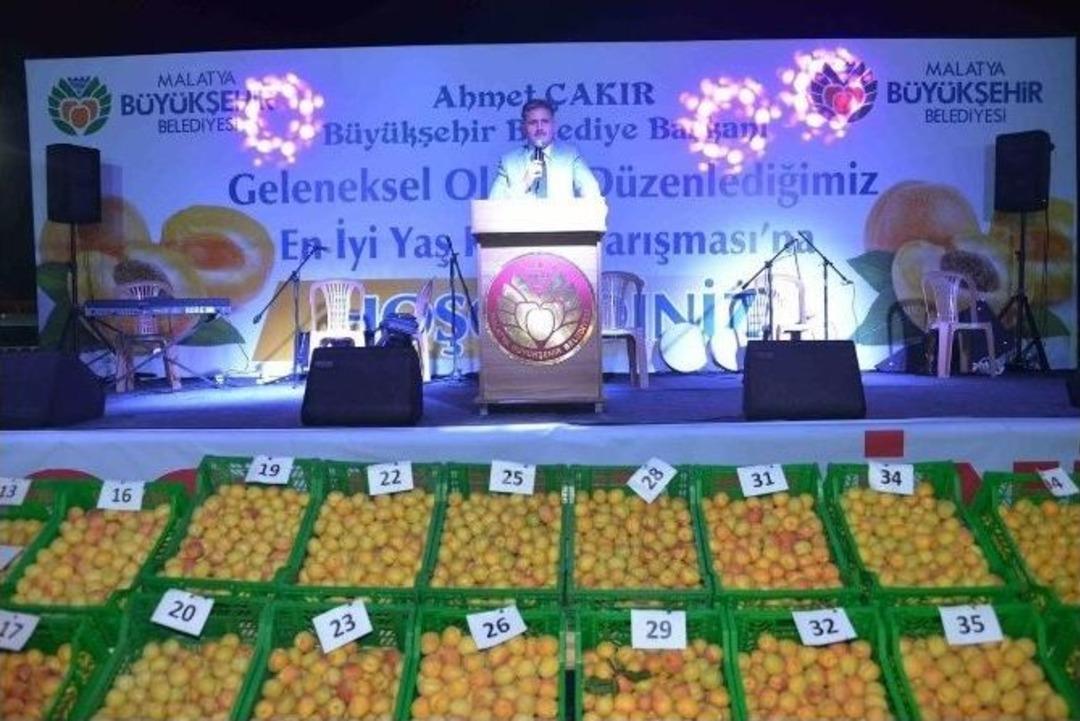 En İyi Yaş Kayısılar Belirlendi