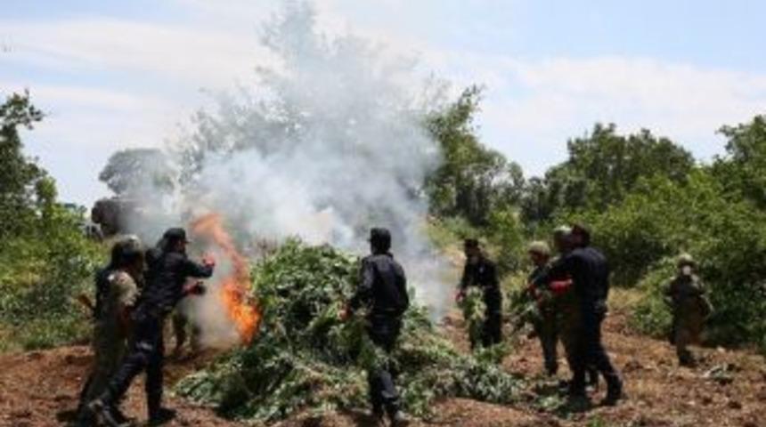 (&ouml;zel Haber) Kenevir Eken &Ccedil;ift&ccedil;i Destekleme Alamayacak