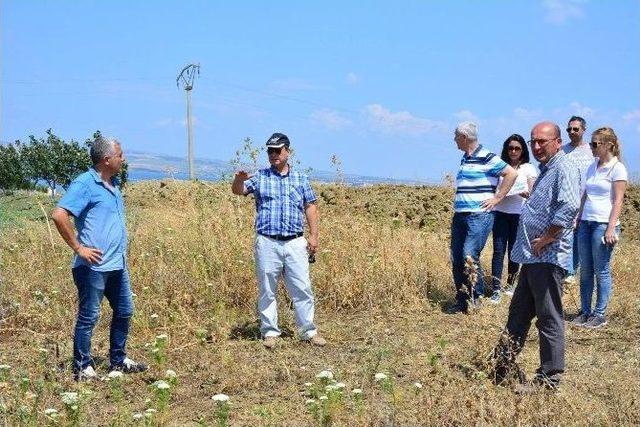 Lapseki’ye Katı Atık Tesisi Yapılıyor