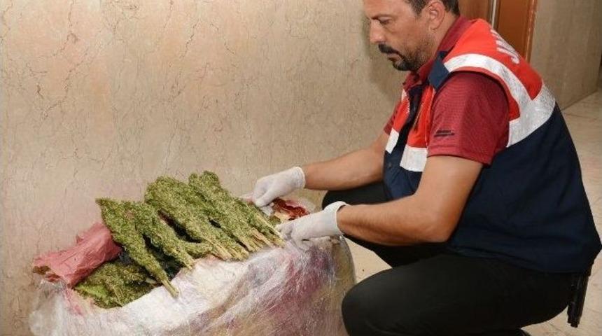 Nane Ve Karabiber Poşetinde 22 Kilo Esrar