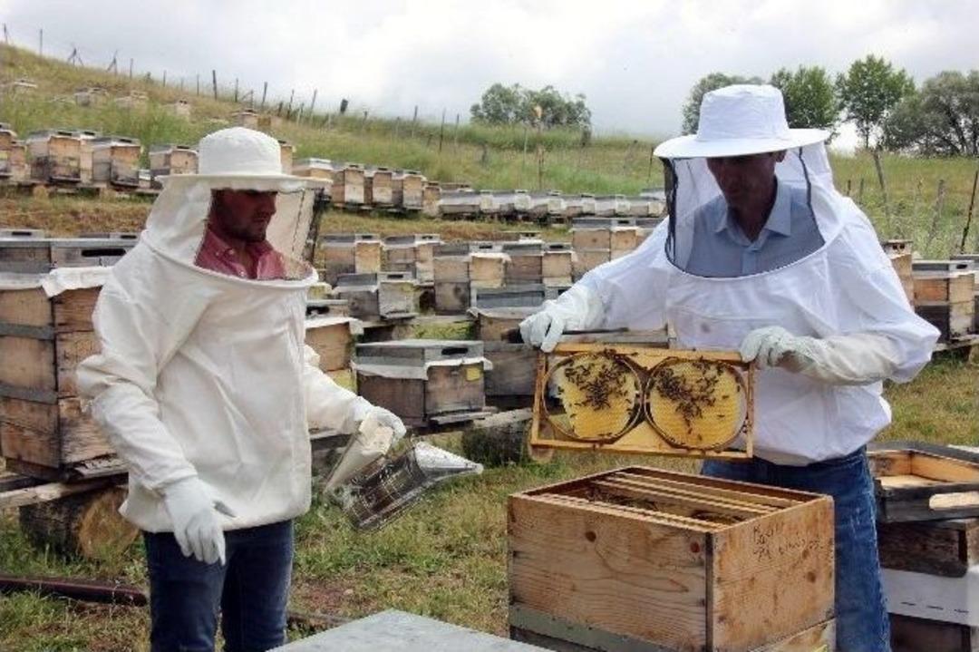 Sivas&rsquo;ta Organik Bal &Uuml;retimi Yaygınlaşıyor