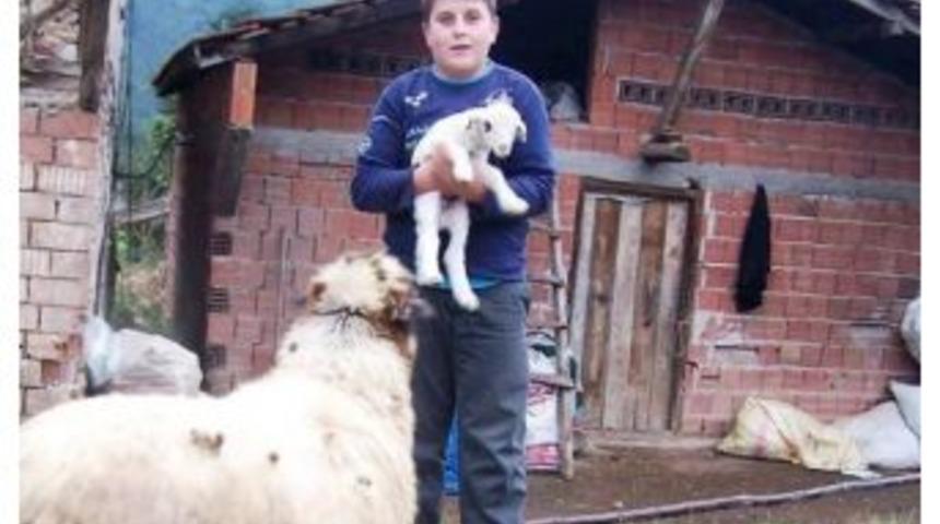 13 G&uuml;nl&uuml;k Yaşam Savaşını Kaybetti