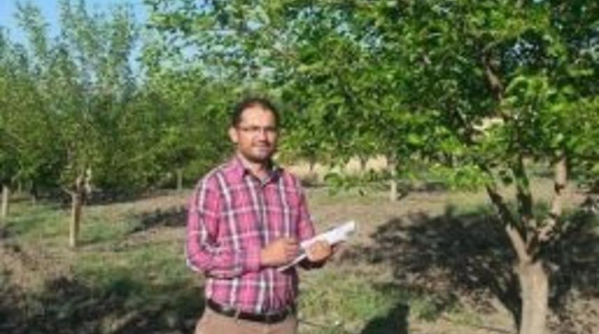 &Ccedil;emişgezek&rsquo;te Organik Dut &Uuml;retimi Yaygınlaşıyor