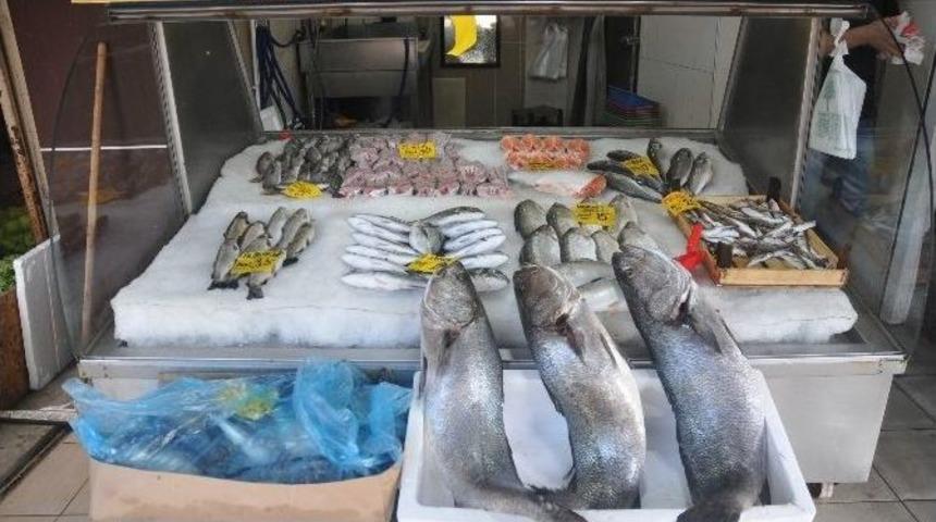 Balık&ccedil;ı Tezgahlarının Taş Balığı