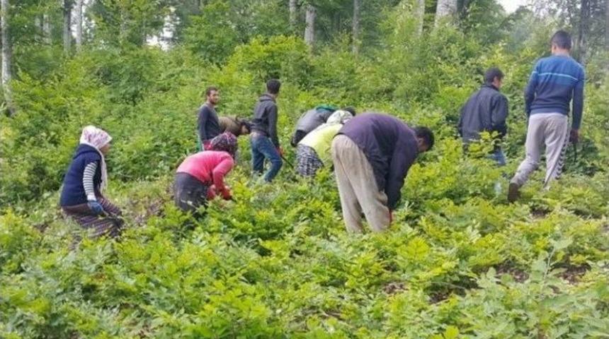 Ak&ccedil;akoca&rsquo;da Gen&ccedil;lik Bakımları Tamamlandı