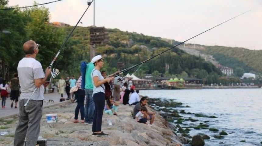 Osmangazi K&ouml;pr&uuml;s&uuml; Manzarasında Balık Tutma Keyfi