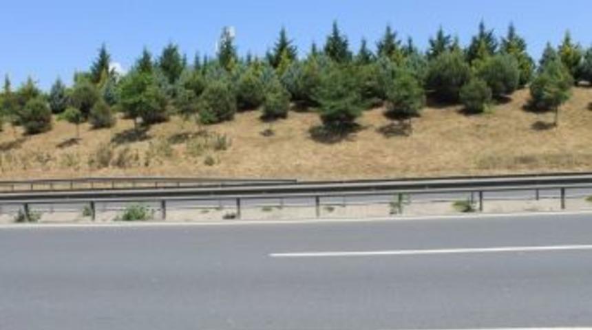 Tem Otoyolunda Bayram Temizliği