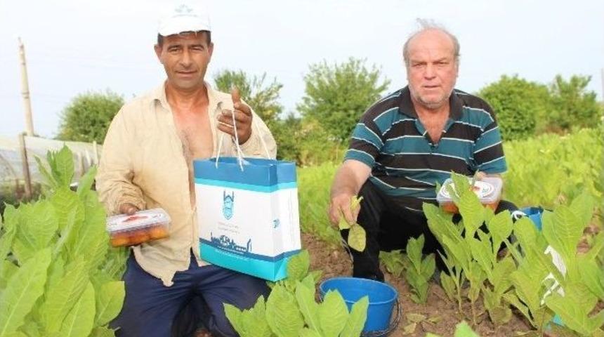Balkanlarda Mustafakemalpaşa R&uuml;zg&acirc;rı