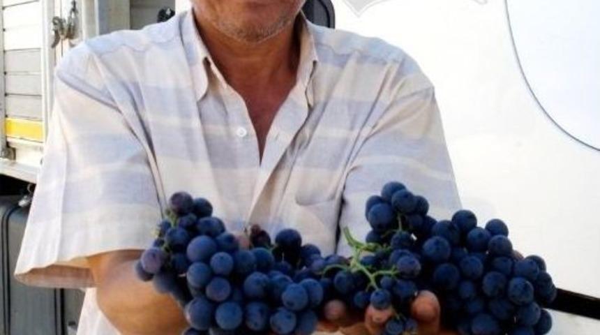 &Uuml;z&uuml;m &Uuml;reticisi Rusya Pazarının A&ccedil;ılmasından Memnun