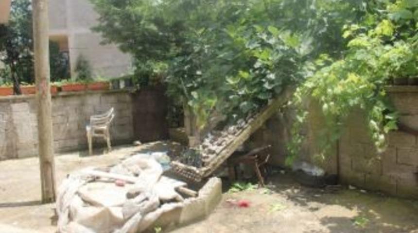 Yaprak Toplarken D&uuml;şen Kadın Yaralandı