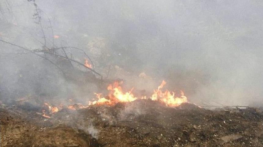 Balıkesir&rsquo;de &Ccedil;&ouml;pl&uuml;k Yangını