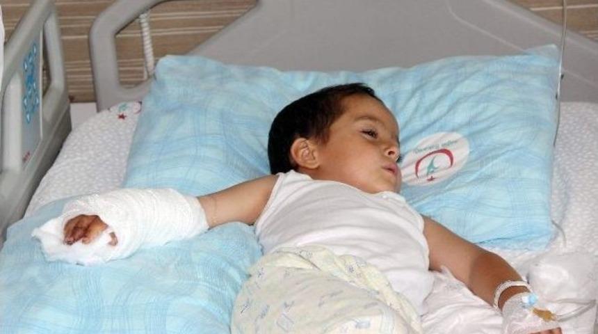 K&uuml;&ccedil;&uuml;k Hasan&rsquo;ın Kopan Parmağı Dikildi