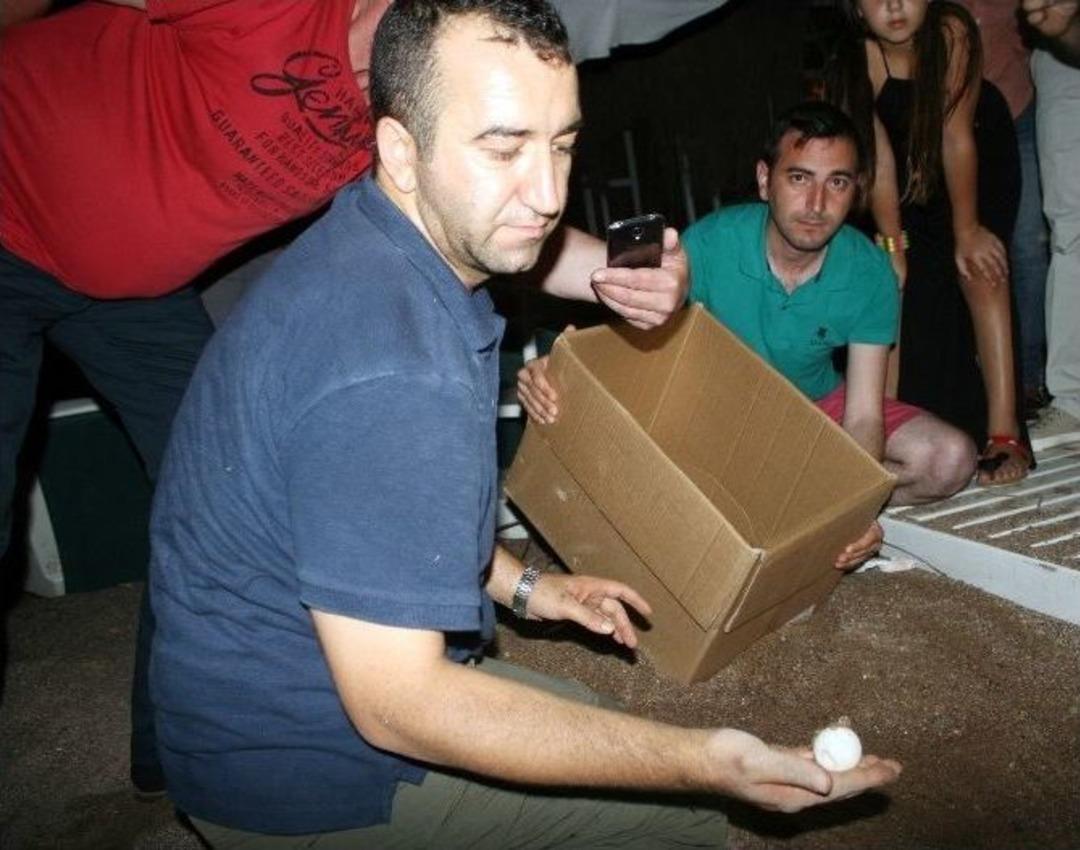 Marmaris&rsquo;te Caretta Caretta Seferberliği