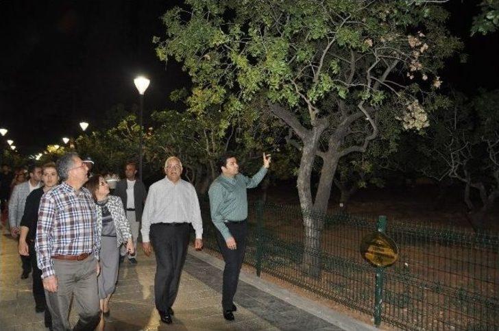 Fıstık Park, Alanında Dünyada Bir İlk G4