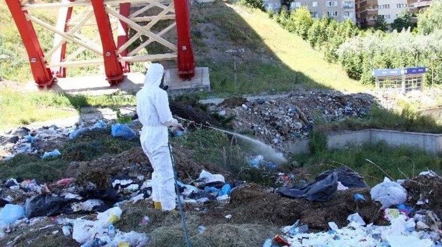 &Ccedil;ankaya Belediyesi Haşerelere Savaş A&ccedil;tı