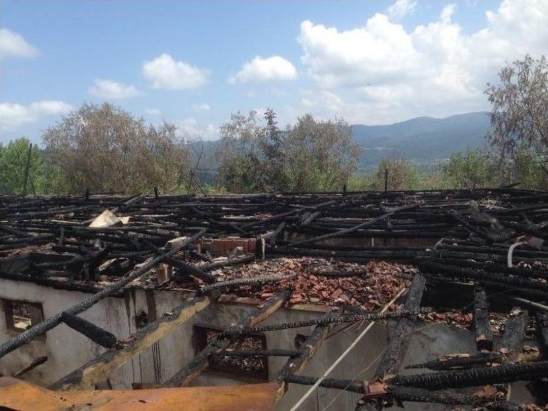 Tavuk &Ccedil;iftliği K&uuml;le D&ouml;nd&uuml;