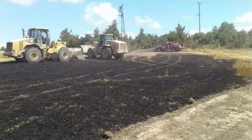 40 D&ouml;n&uuml;m Buğday Tarlası K&uuml;l Oldu