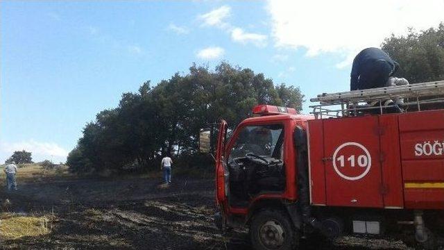 40 Dönüm Buğday Tarlası Kül Oldu