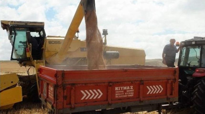 Yozgat&rsquo;ta Hububat Hasadı Başladı