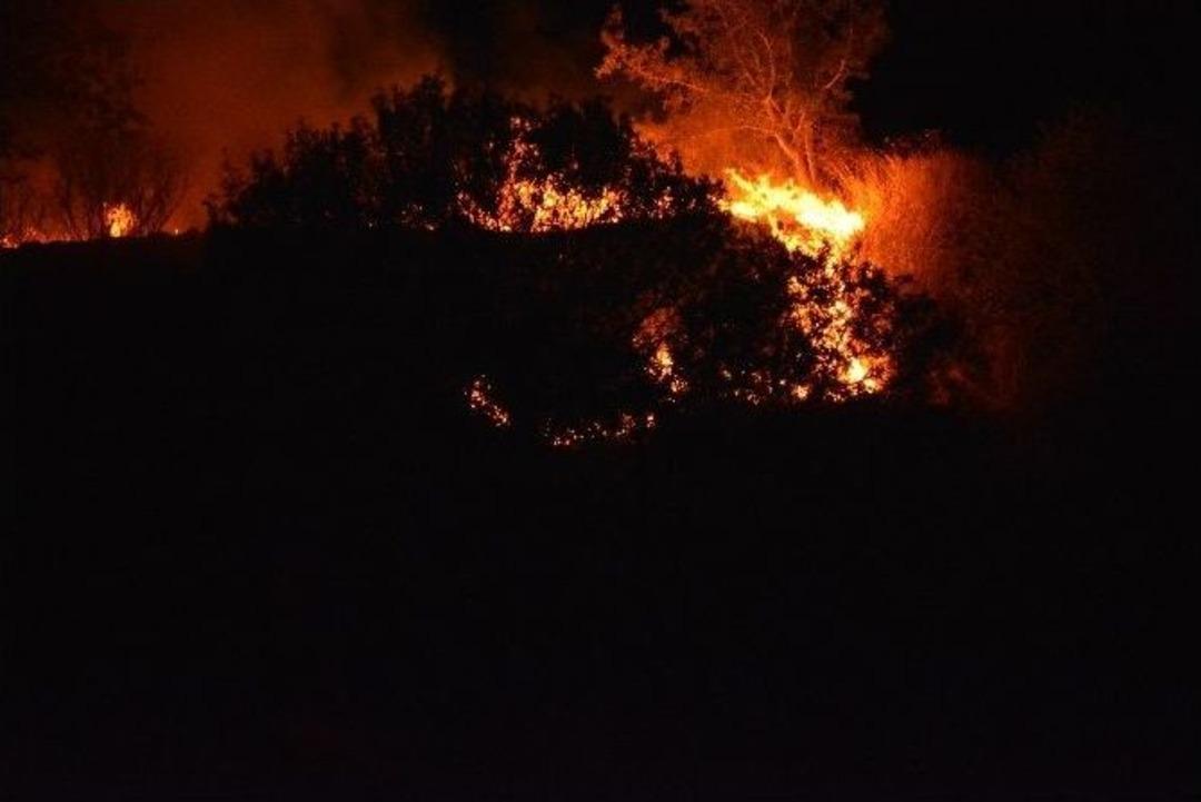 Kyme Antik Kent Yakınlarındaki Ormanlık Alanda Bir Hafta Arayla İkinci Kez Yangın &Ccedil;ıktı