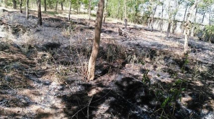 Diyarbakır&rsquo;da Okullar Uzmanlara Emanet