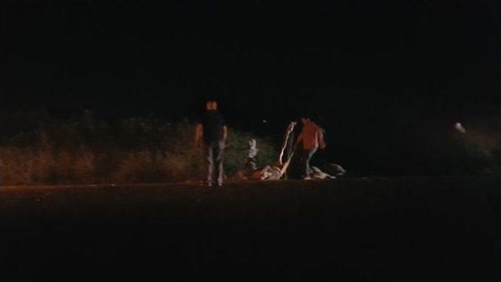 Otomobil Sürünün Arasına Daldı: 9 Koyun Telef Oldu G4