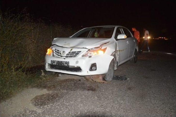 Otomobil Sürünün Arasına Daldı: 9 Koyun Telef Oldu G5