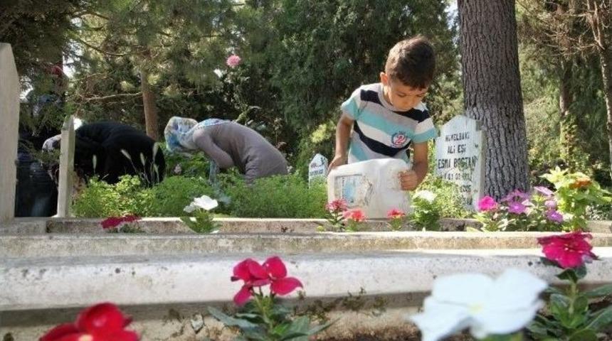 Başiskele’de Mezarlıklarda 5 Bin 200 Adet Çiçek Dağıtılacak