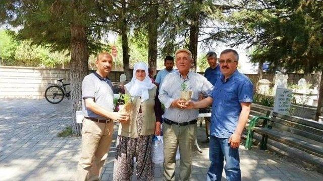 Büyükşehir Belediyesi, Korkuteli’de Mezarlıkta Gülfidanı Dağıttı