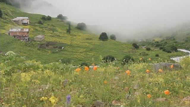 Sıcaktan Bunalanlar Tatil İçin İkizdere’yi Tercih Ediyor