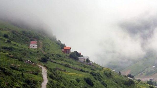 Sıcaktan Bunalanlar Tatil İçin İkizdere’yi Tercih Ediyor