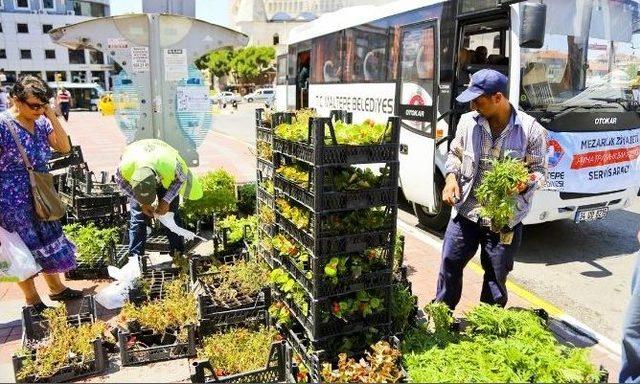 Maltepe Belediyesi’nden Mezarlıklara Ücretsiz Servis