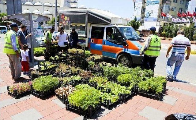 Maltepe Belediyesi’nden Mezarlıklara Ücretsiz Servis