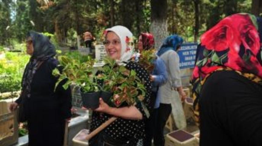 Orhangazi Belediyesi Mezarlıkta 15 Bin &Ccedil;i&ccedil;ek Dağıttı