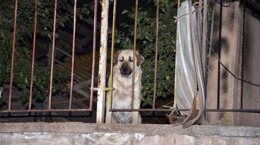 (&ouml;zel Haber) Faciayı &rsquo;boncuk&rsquo; &Ouml;nledi