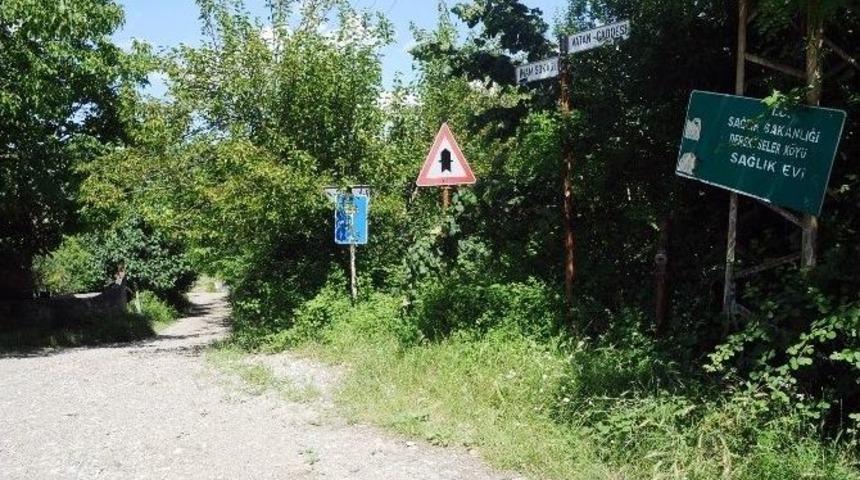 (&ouml;zel Haber) T&uuml;rkiye&rsquo;deki K&uuml;&ccedil;&uuml;k Almanya