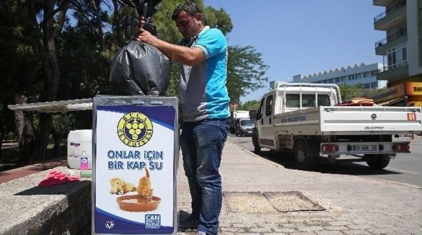 Bu Kutular Karın Doyuruyor