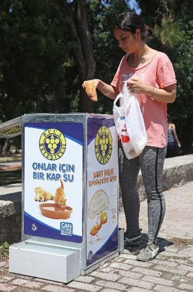 Bu Kutular Karın Doyuruyor