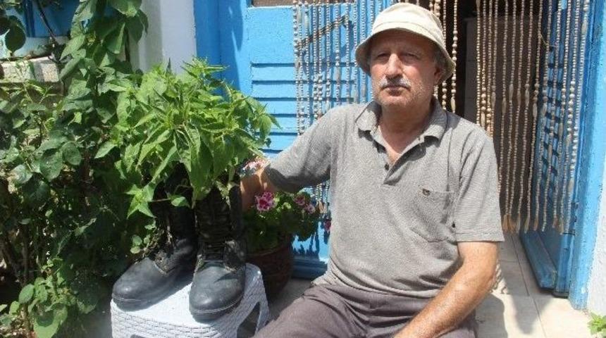 Savaş Postallarına Barış &Ccedil;i&ccedil;eği