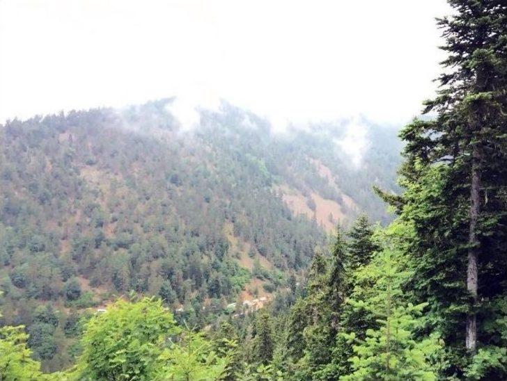 Giresun’da Askeri Helikopter Düştü: 1 Şehit, 2 Ağır Yaralı G5