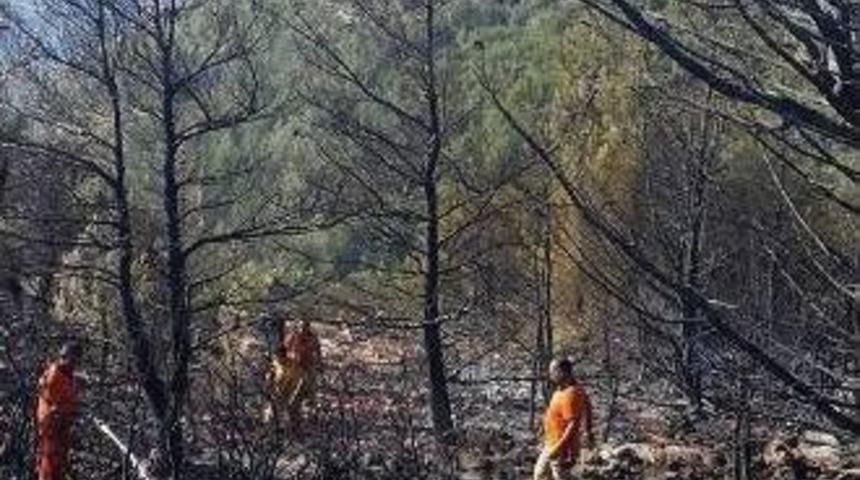 Silifke&rsquo;de &Ccedil;ıkan Orman Yangını Kontrol Altına Alındı