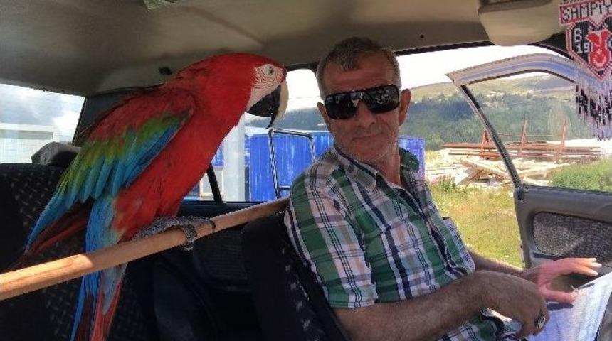 Dev Papağan Asgari &Uuml;creti T&uuml;ketiyor