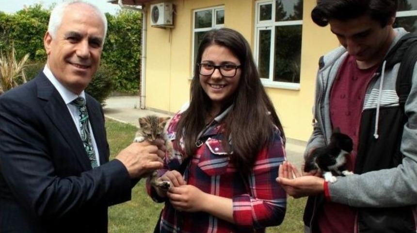 Sokaktan Toplayıp Sahip Buluyorlar