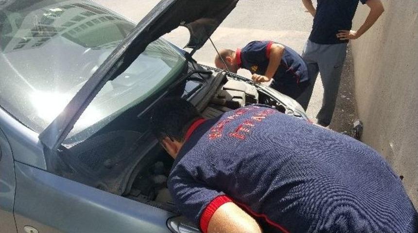 (&ouml;zel Haber) İtfaiye Erlerinin Minik Kedi Yavrusu İle İmtihanı