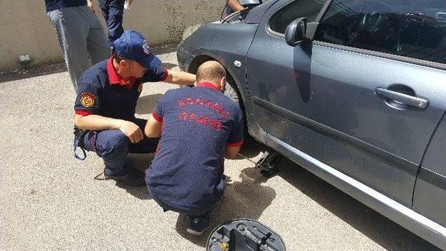 (özel Haber) İtfaiye Erlerinin Minik Kedi Yavrusu İle İmtihanı