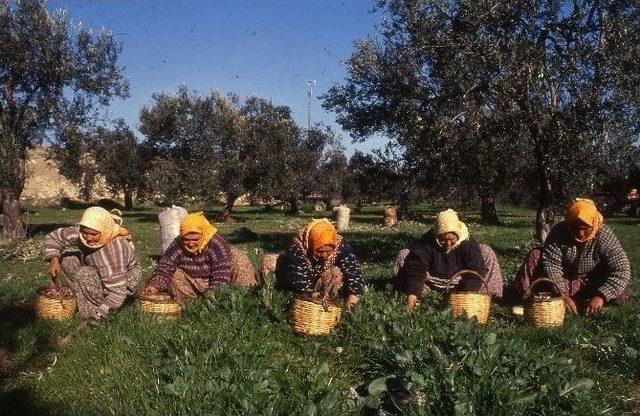 Tariş Yönetim Kurulu Başkanı Çetin’den Sektöre Reçete