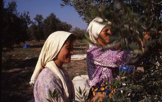 Tariş Yönetim Kurulu Başkanı Çetin’den Sektöre Reçete