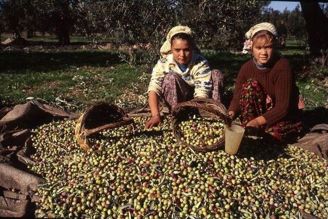 Tariş Yönetim Kurulu Başkanı Çetin’den Sektöre Reçete