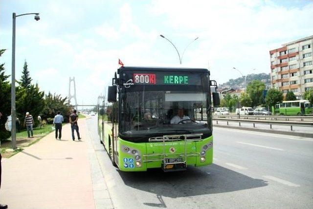 Büyükşehirden, Mavi Bayraklı Plajlara Tek Otobüsle Ulaşım